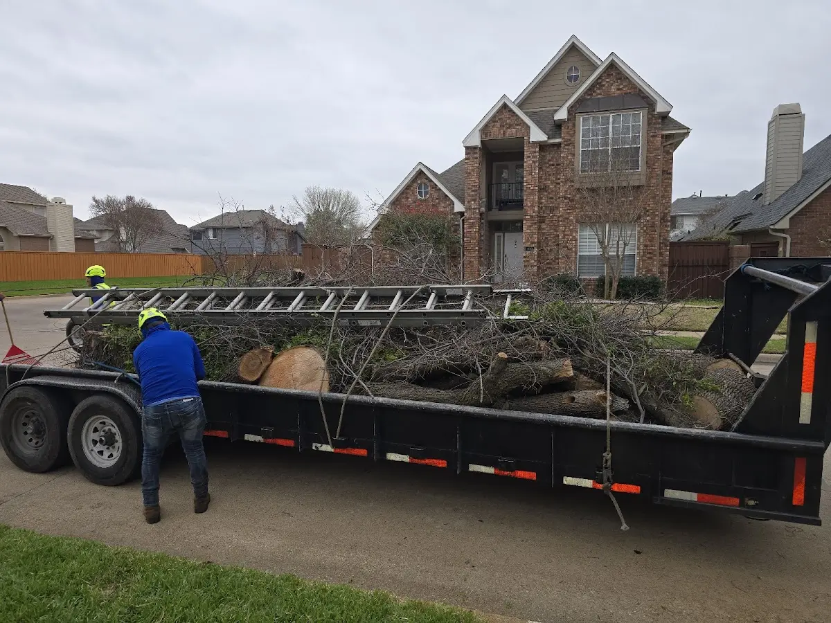 Expert Tree Pest Control with proper safety equipment in Donalsonville
